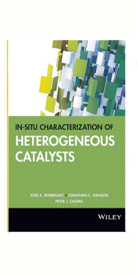 In-situ-Characterization-of-Heterogeneous-Catalysts