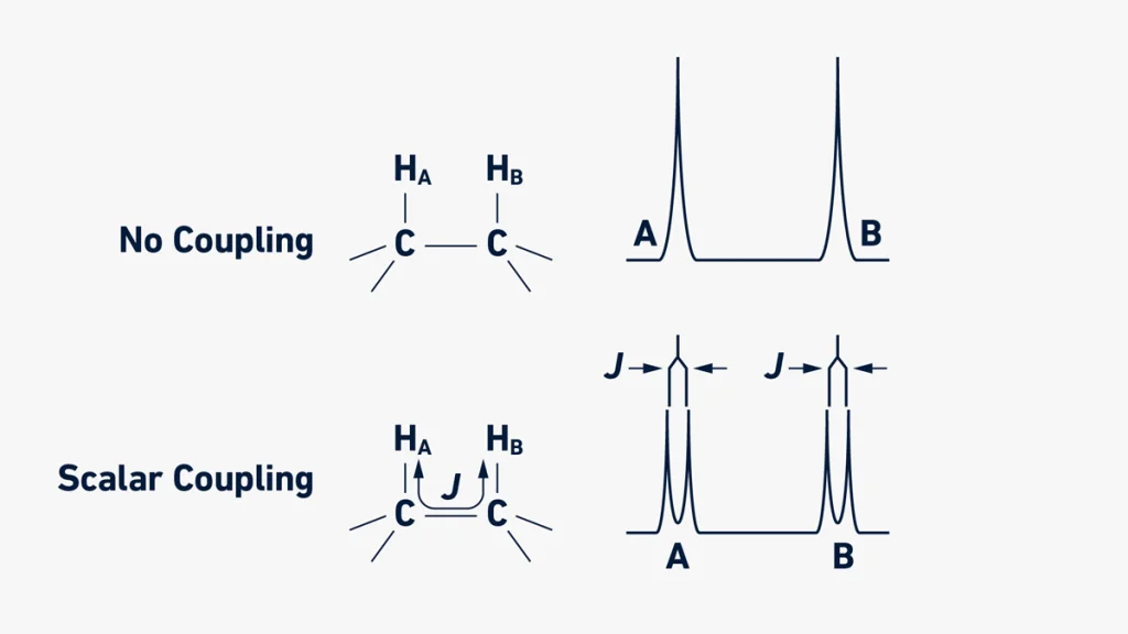 نحوه تفسیر طیف NMR و هر آنچه باید درباره اصول آن بدانید! 10 نحوه تفسیر طیف NMR و هر آنچه باید درباره اصول آن بدانید! شکل 6: نمونه کوپلاژ اسکالر. اگر کوپلاژ اسکالر وجود نداشته باشد، سیگنال های NMR امربوط به HA و HB به صورت پیک های ساده ظاهر می شوند (بالای شکل). با این حال، اگر دو پروتون مجاور HA و HB کوپلاژ اسکالر با ثابت J داشته باشند، سیگنال ها تقسیم می شوند (پایین شکل). هر دو پروتون HA و HB با پروتون متصل به یک هسته کربن به هم پیوسته کوپل می شوند، به دنبال قانون N+1، هر سیگنال پروتون به دو سیگنال تقسیم می شود و یک دوتایی تشکیل میدهند که فاصله تقسیم برابر با ثابت جفت شدن یعنی J خواهد بود.