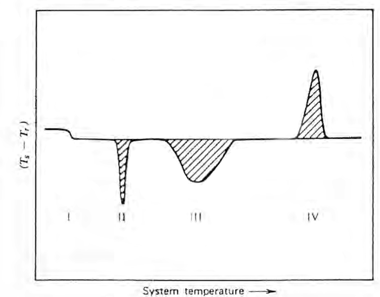 image 5 -